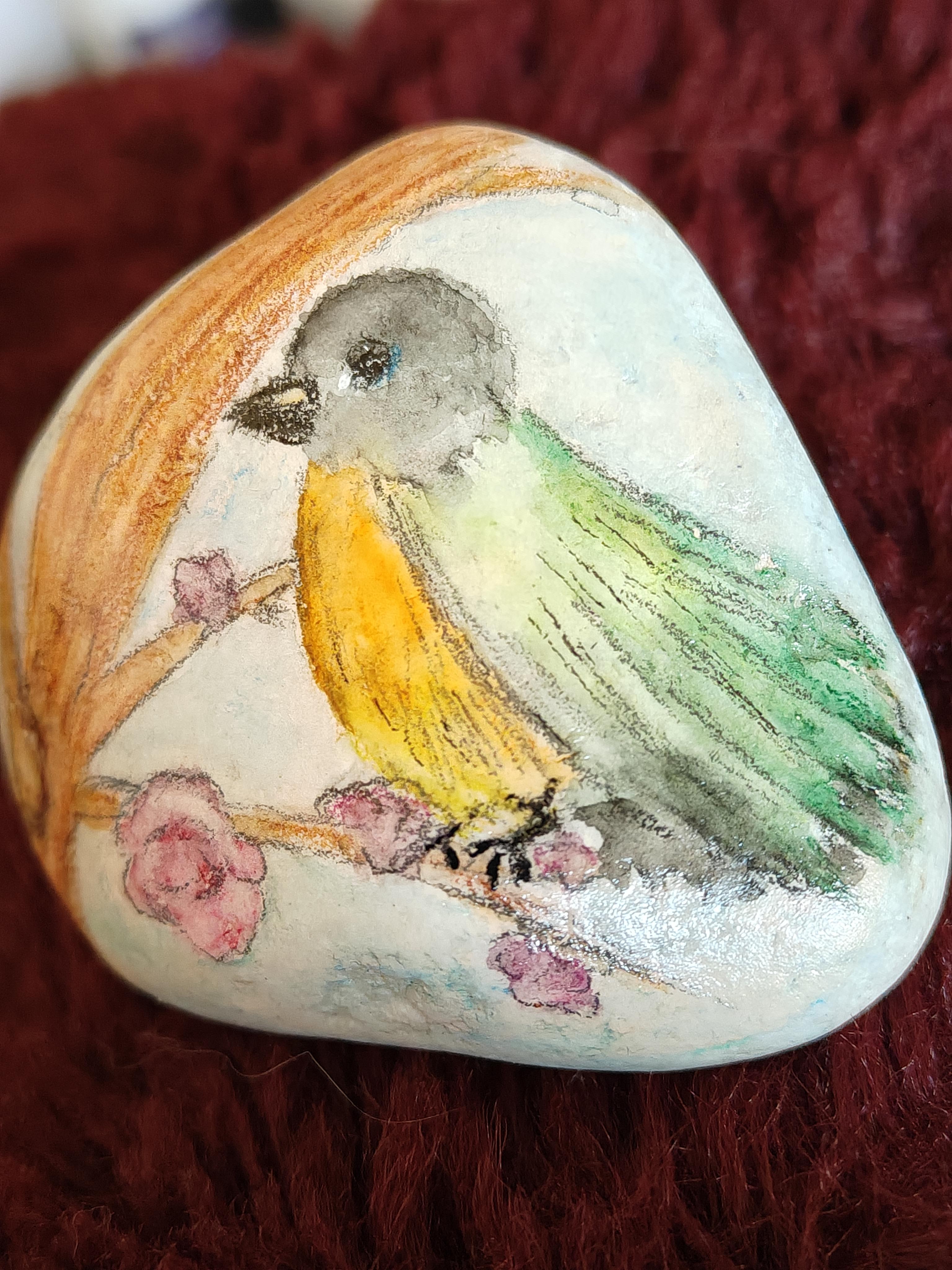 Stoneart painted rock bird / vogel op steen geschilderd